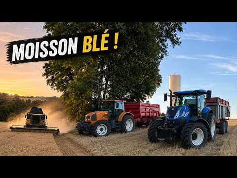 MOISSON BLÉ 2026 !