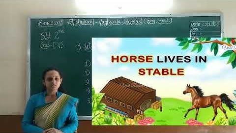 2 EVS CH 3 THE WORLD OF ANIMALS PART 1 10 12 2020