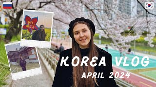 Как отдохнуть в Корее? ГАРМОНИЯ / 2024 Korea Vlog
