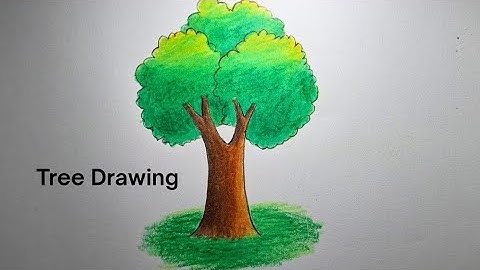 How to draw a tree step by step || Tree drawing || Easy drawing tutorial 