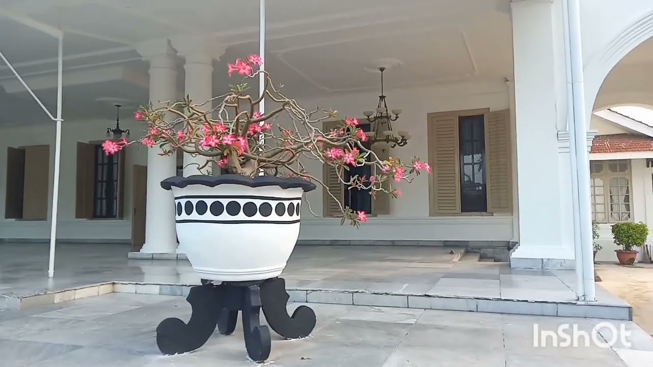 Kantor Gubernur Jabar wilayah Cirebon/ BaleJayaDewata/ Karesidenan Cirebon