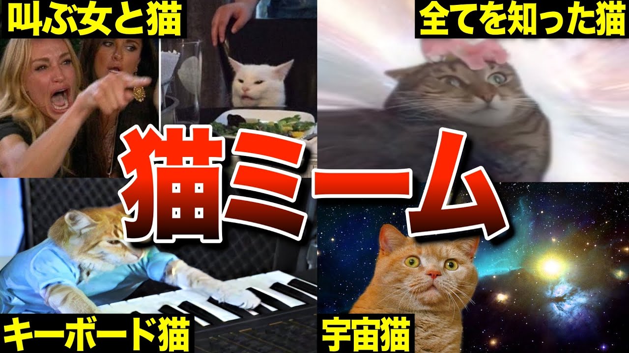 【4選】5分でわかる猫のネットミームまとめPart2【海外ミーム解説53】 - YouTube
