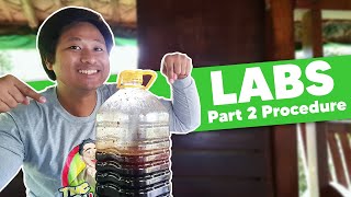 [PART 2] How to Make Lactic Acid Bacteria   FAQs! | The Agrillenial