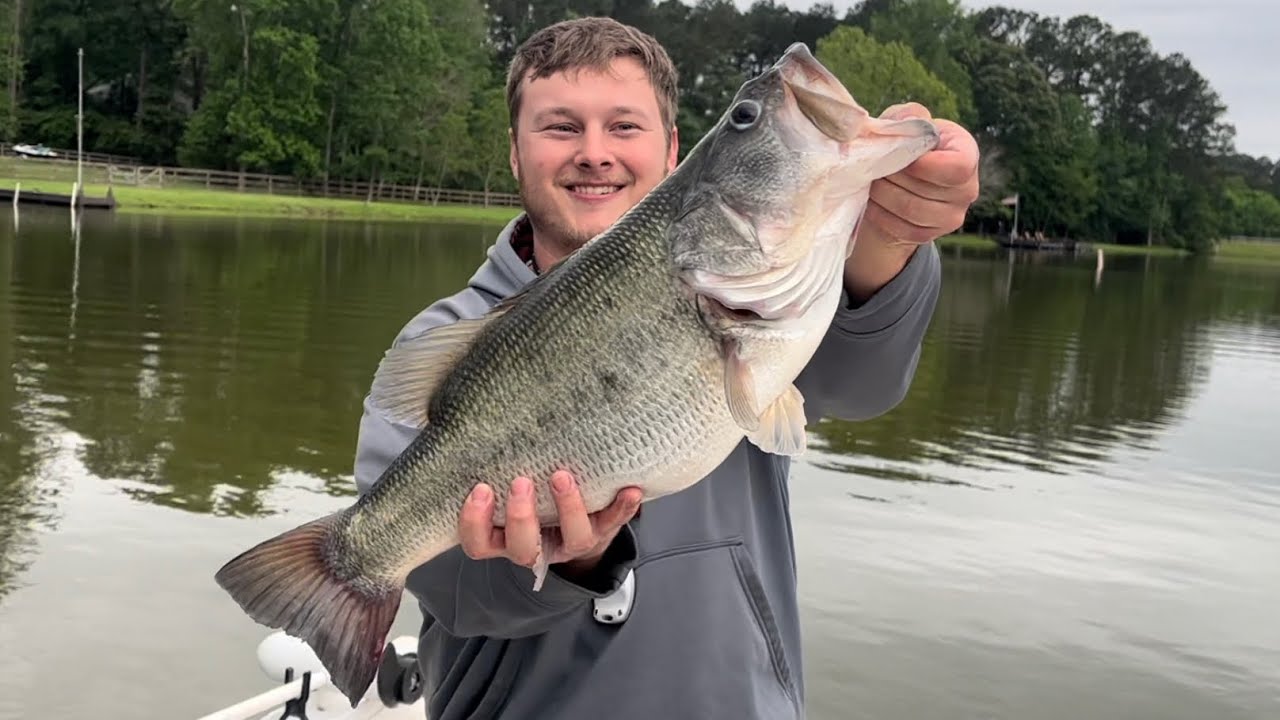 Fishing For Giant Bass On Beds!! YouTube