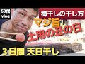【梅干の天日干し方法 #630】土用の丑の日/３日連続/夜は軒下【自然の暮らし/50代vlog】#梅干し #50代