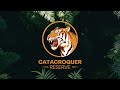 EL TIGRE DORADO 🐯 | CATACROQUER RESERVE