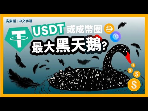 穩定幣USDT或成幣圈最大黑天鵝？USDT兌USD曾跌穿 1:1 發行商 Tether 贖回與套利機制成隱憂 為何替代品 USDC 和 DAI 更值得持有？比較穩定幣風險 ｜廣東話｜香港