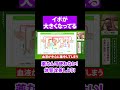 【お悩み相談会】イボが大きくなっているのですがどうしたらいい? #サニーズアニマルクリニック #サニー校長#サニーズアニマルクリニック #動物病院 #トイプードル #犬のイボ