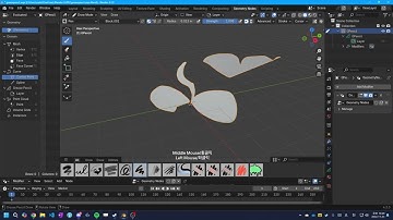 [Blender 4.3] 