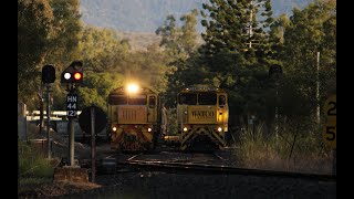 Watco Container wagon transfer and Aurizon coal trains