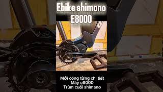 36tr5 có ebike shimano step e8000 quá hời cho đợt sale lễ 30/04-01/05 #blueenergyvn #mtb