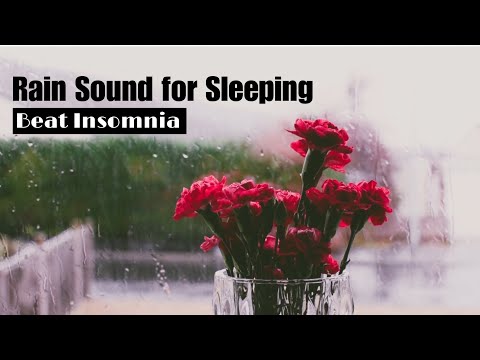 Rain and Thunder Sound for sleeping | Beat Insomnia