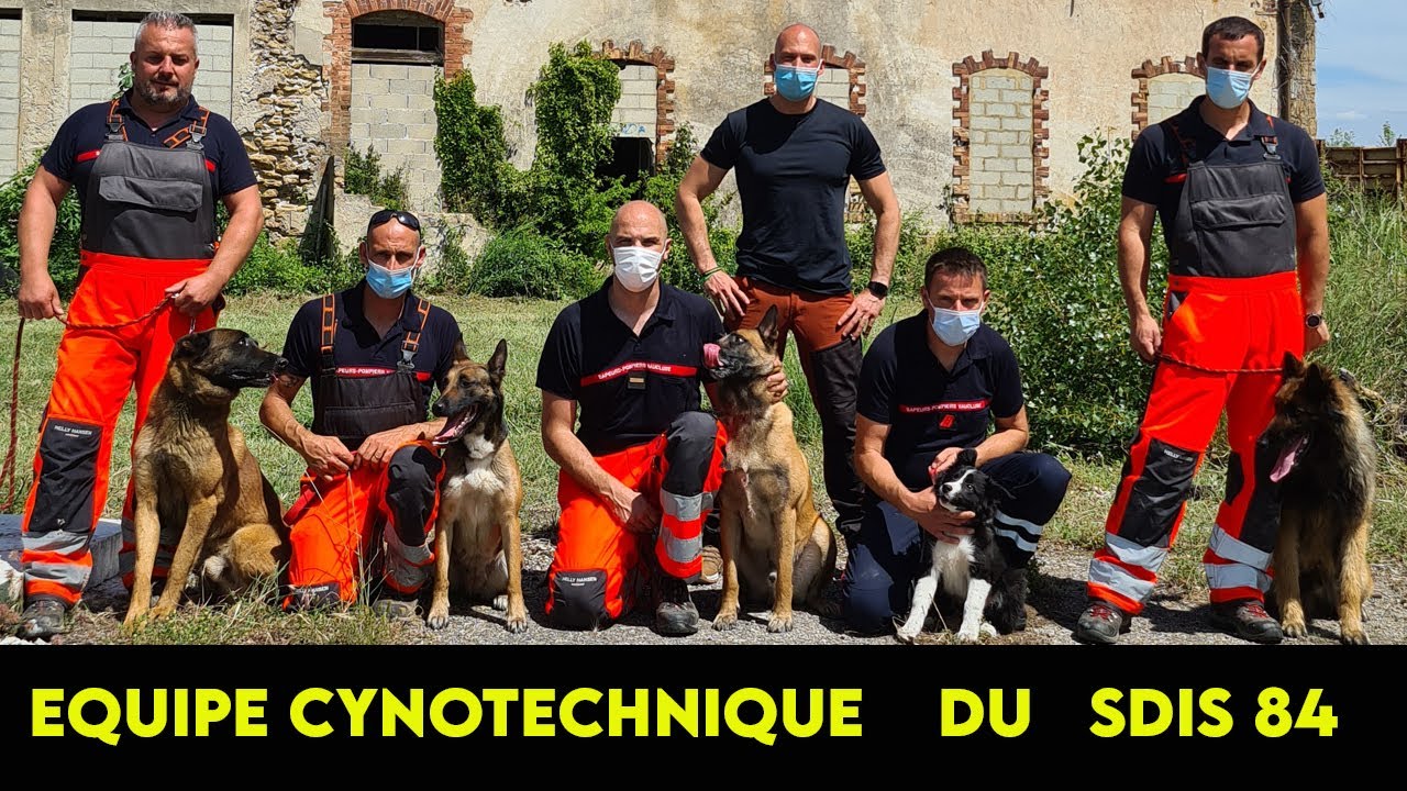 Manœuvre avec l'équipe CYNOTECHNIQUE du SDIS 84