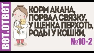 Корм Акана, пес порвал связку, у щенка перхоть. ВетОтвет 10-2 Корм Акана, пес порвал связку, у щенка перхоть. ВетОтвет 10-2