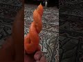 Natural carrot