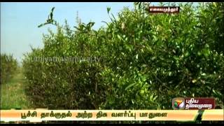 Uzhavukku Uyiroottu : Pomegranate Cultivation (28/12/2013) - Part 2