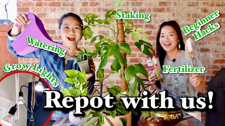 Relaxing Plant Chores 🌱 | SANSI Grow Light 💡 Review | Repot HACKS