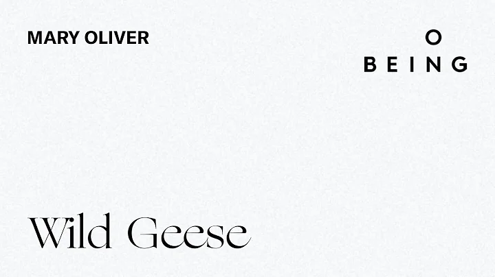 “Wild Geese” — written and read by Mary Oliver - DayDayNews