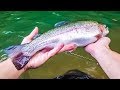 Catching Rainbow Trout With Spinners