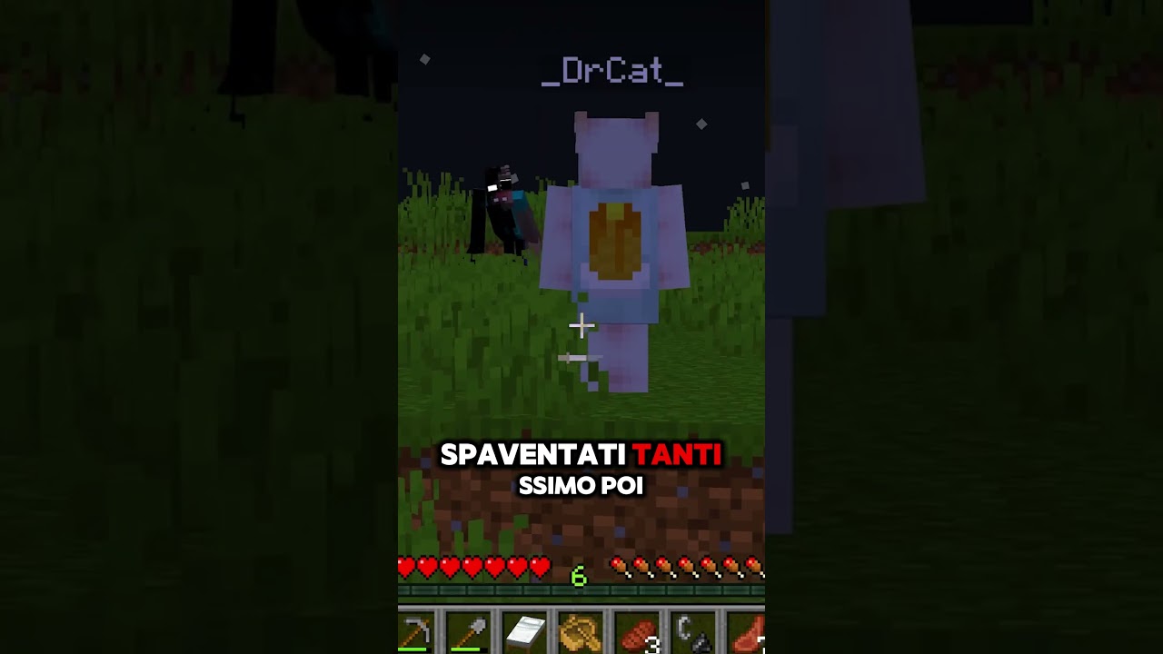 DRCAT su MINECRAFT HORROR....