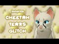 Cheetah tears glitch tutorial  wcue