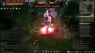 Black Desert Online 268 Ap Awakening Ninja Dark Rift Boss Dim Tree Spirit Level V 5