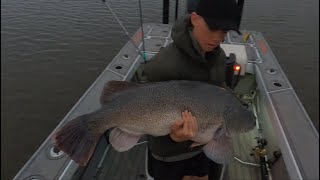 First Meter Cod At Mulwala 117Cm