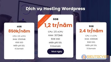 Hosting wordpress ‑ Thuê hosting Cpanel, DirectAdmin, Plesk giá rẻ [Miễn phí SSL]