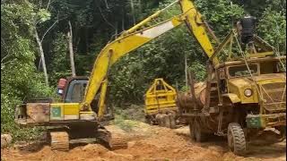 INI DIA ‼️PROSES PEMUATAN KAYU BALAK DARI DALAM HUTAN.‼️