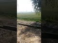 SWRAG =PANJAB || PIND DI MOJ NEI LABDI || JIMIDARA = NAJARA ❤️❤️❤️❤️❤️🙏🙏🙏😁😁😁😁