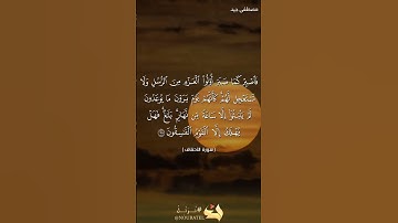 فاصبر كما صبر أولوا العزم من الرسل، تلاوة خاشعة للقارئ مصطفى جيد