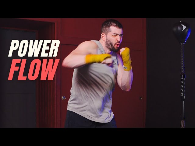 20 Min Beginner Reflex Bag Workout, Outshock Punching Ball