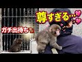 【パンチくん🐵】飼育員さんを出待ち！勢いよく抱きつく赤ちゃん猿が尊い♡