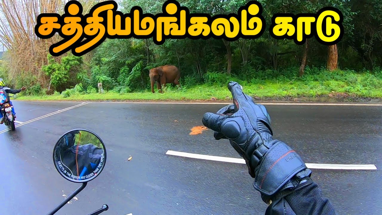Dangerous Dhimbam Ghat Road / Wild Animals Spotted / Ft Royal Enfield