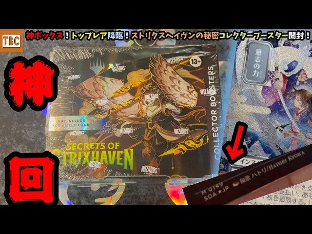 MTG 白セット たぶん166枚※最後まで読んで下さい。 005)《新たなる紀の始まり/Dawn of a New Age》[LTR] 白R | 日本最大級