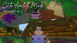 🚣🏻‍♀️ Cute Axolotl Mods For Minecraft PE [boats, hats, bee] ♡ screenshot 5