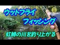 フライ編【ウェットフライフィッシング24】虹鱒の川を釣り上がり