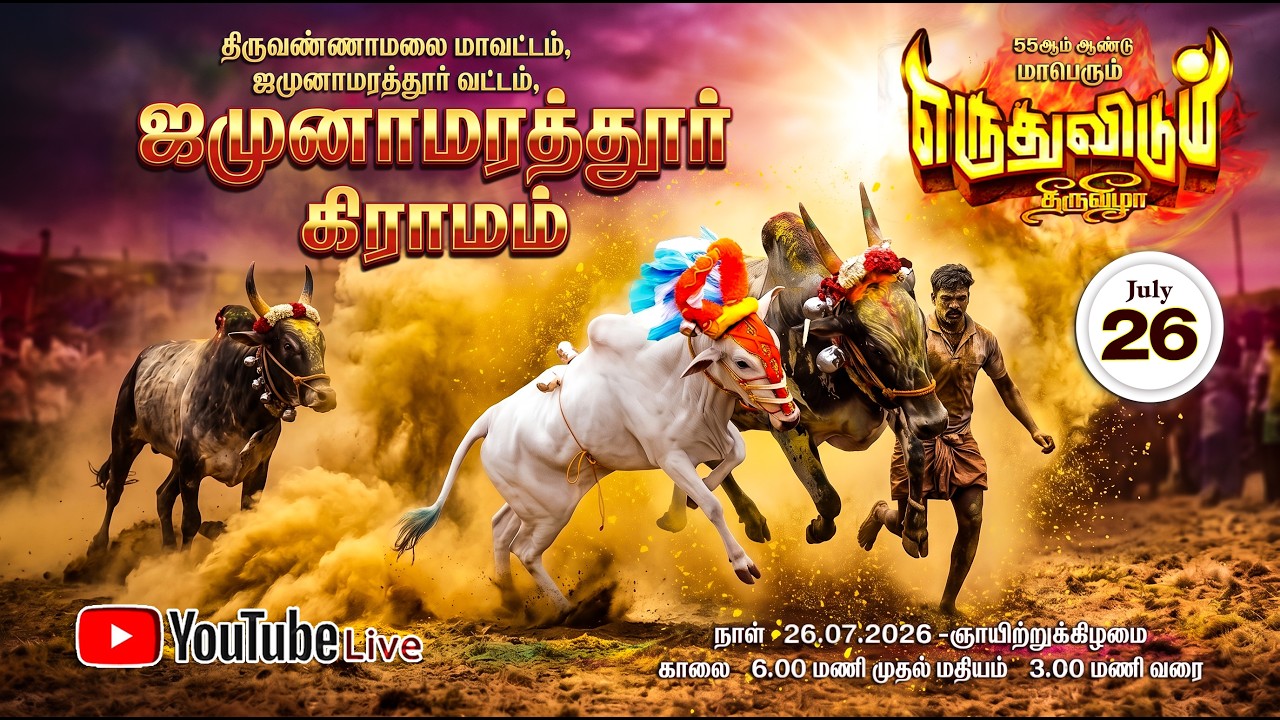 🔴YouTube Live ஜமுனாமரத்தூர் கிராமம் 55 ஆம் ஆண்டு மாபெரும் எருதுவிடும் திருவிழா 🚩  9787462444