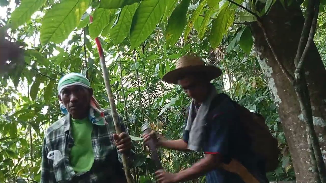 Juru ukur sewasta masuk sempadan tanpa kebenaran kami pehak yang telah di cerobohi tanpa notis 14 hr