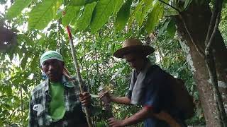 Juru Ukur Sewasta Masuk Sempadan Tanpa Kebenaran Kami Pehak Yang Telah Di Cerobohi Tanpa Notis 14 Hr