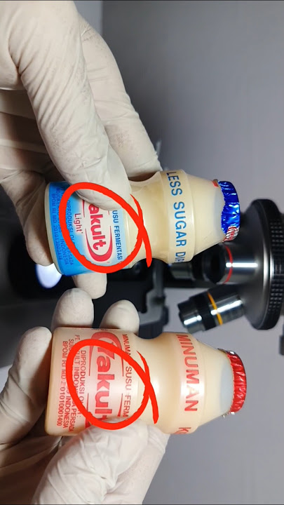 Zoom yakult merah dan biru #mikroskop