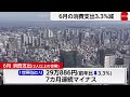 6月消費支出は3.3％減 7カ月連続マイナス 天候不順が影響
