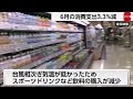6月消費支出は3.3％減 7カ月連続マイナス 天候不順が影響