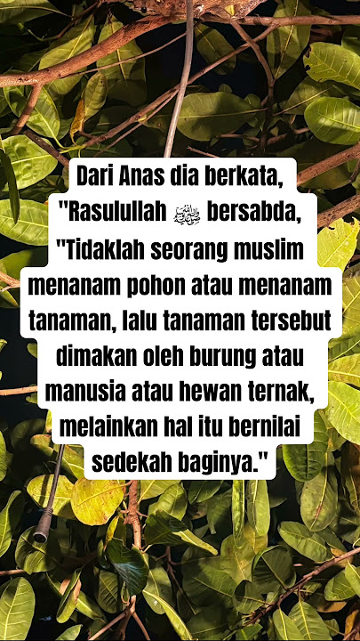 TAK ADA YG SIA2 DARI JERIH PAYAHMU . HR. Muslim 2904