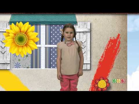 მზესუმზირა – ლიზი აკობია