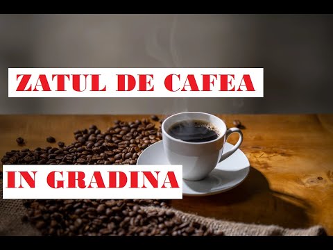 Video: Zaț de cafea & Grădinărit: Utilizarea zațului de cafea ca îngrășământ