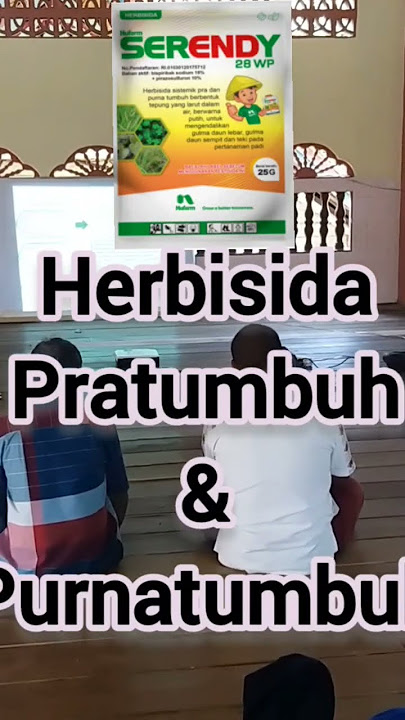 Serendy 28 WP, Herbisida Pra & Purna Tumbuh