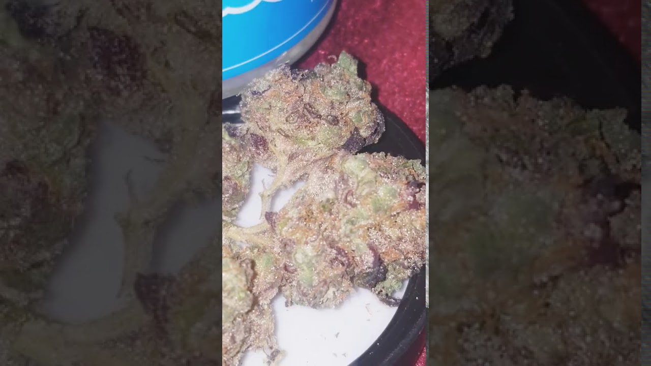 The Fire Society - "FROSTIEZ" Cannabis review