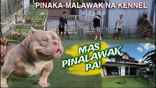 JBROS PH HOME OF THE BEST NANO EXOTIC BULLY | KANG X KISSES BREEDING 2 | MARAMING NAGBAGO