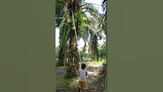 Anak yang slalu brusaha kerja demi se-suap nasi😢😢😭 Di tengah covid19